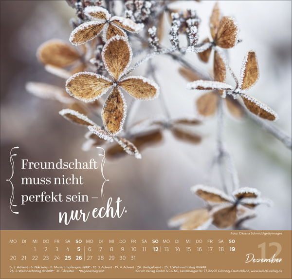 Du bist mein Herzensmensch 2027, Innenansicht #12