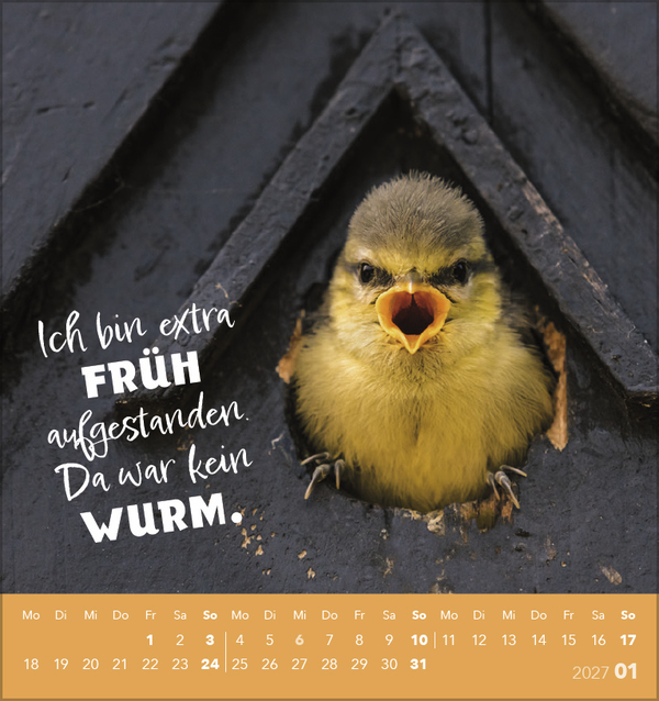 Tierisch lustig 2027, Innenansicht #1