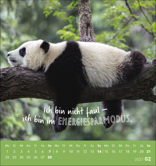 Tierisch lustig 2027, Innenansicht #2