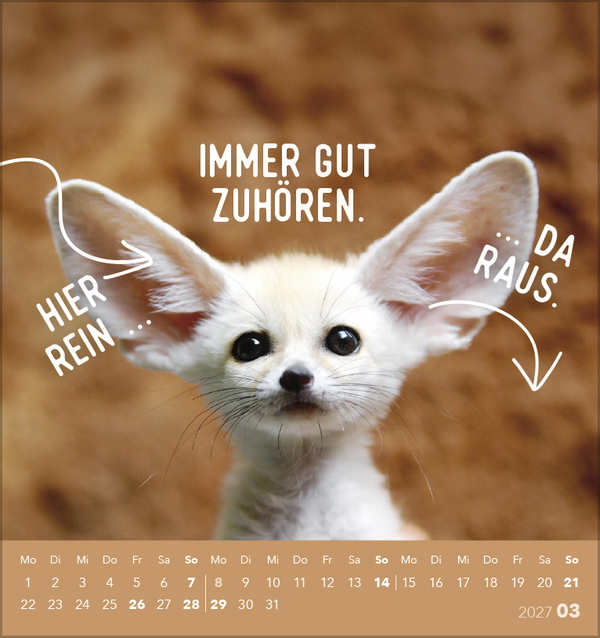 Tierisch lustig 2027, Innenansicht #3