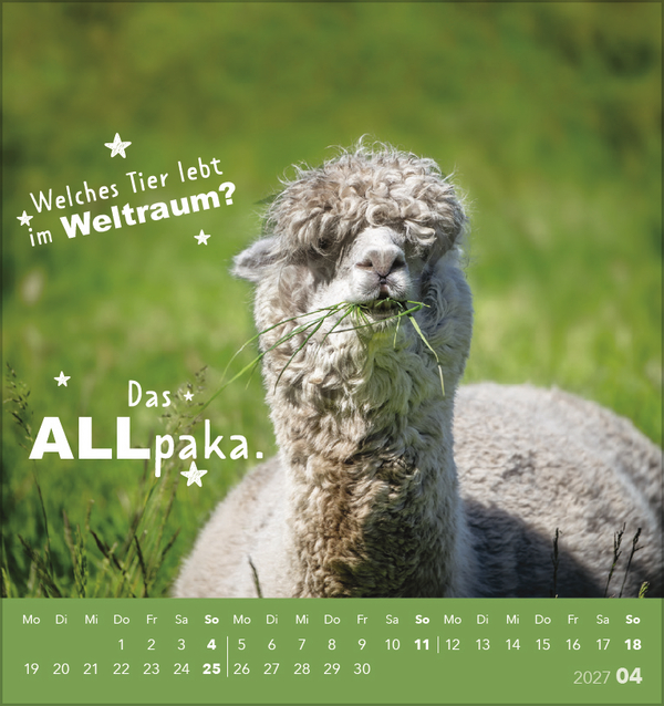 Tierisch lustig 2027, Innenansicht #4