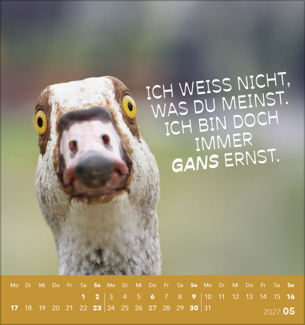 Tierisch lustig 2027, Innenansicht #5