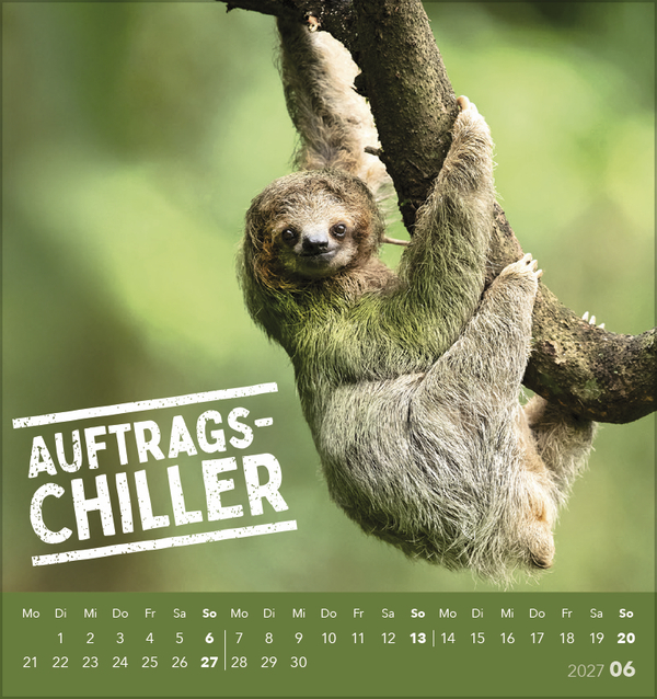 Tierisch lustig 2027, Innenansicht #6