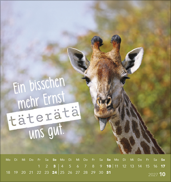 Tierisch lustig 2027, Innenansicht #10