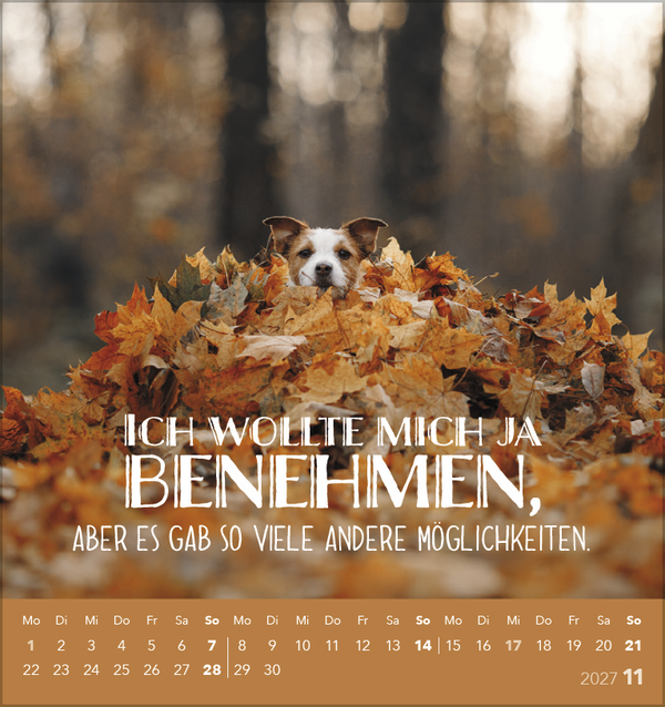 Tierisch lustig 2027, Innenansicht #11