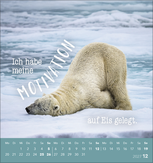 Tierisch lustig 2027, Innenansicht #12