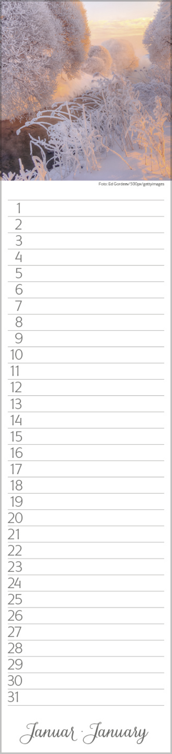 Geburtstags-LP Natur Pur, Innenansicht #1