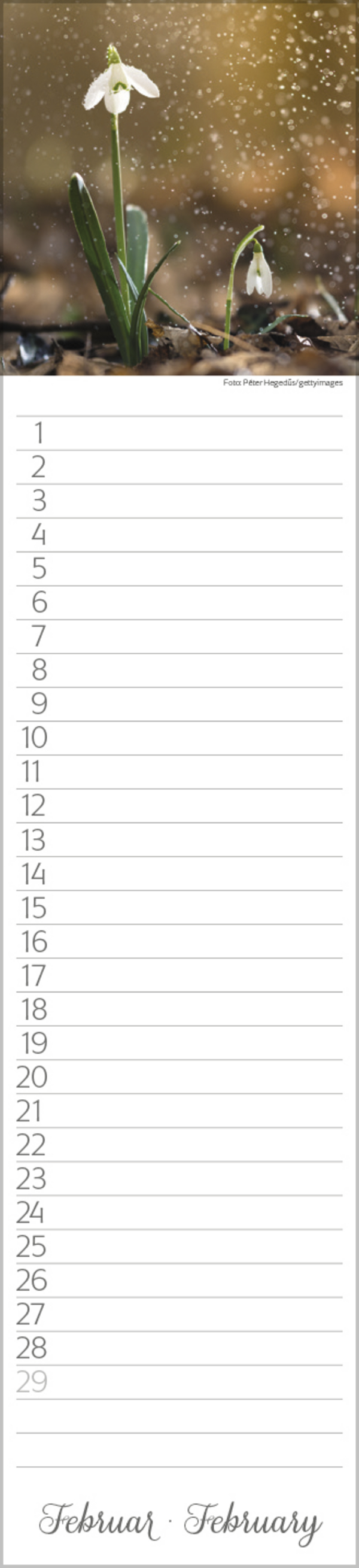 Geburtstags-LP Natur Pur, Innenansicht #2