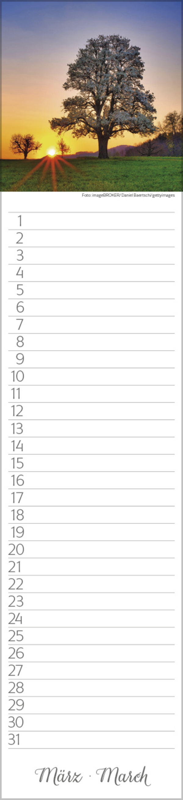 Geburtstags-LP Natur Pur, Innenansicht #3