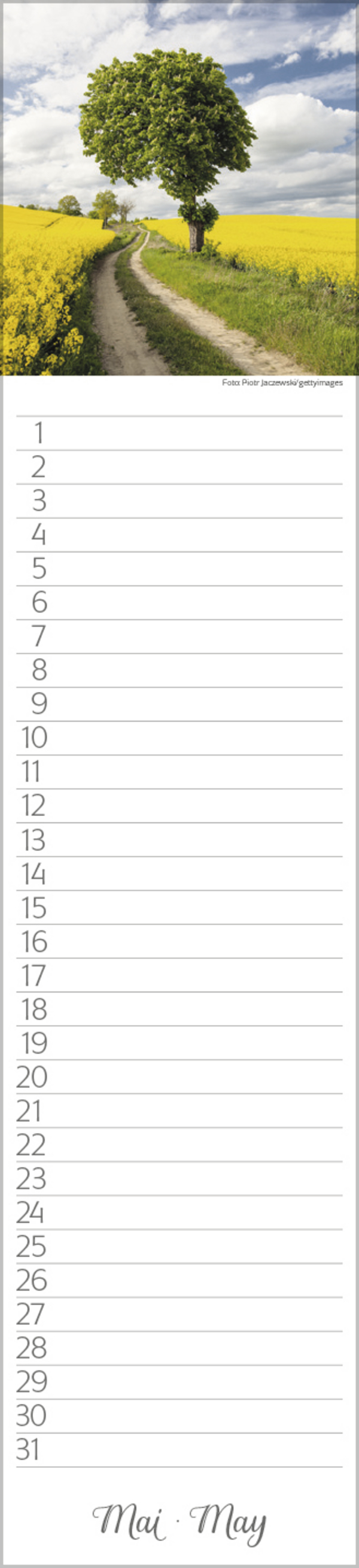 Geburtstags-LP Natur Pur, Innenansicht #5