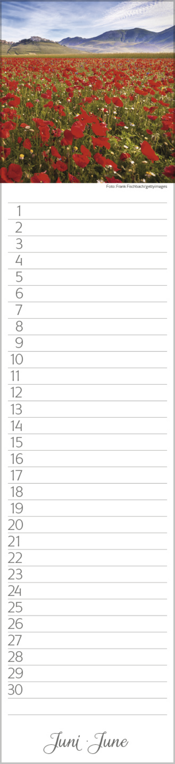 Geburtstags-LP Natur Pur, Innenansicht #6