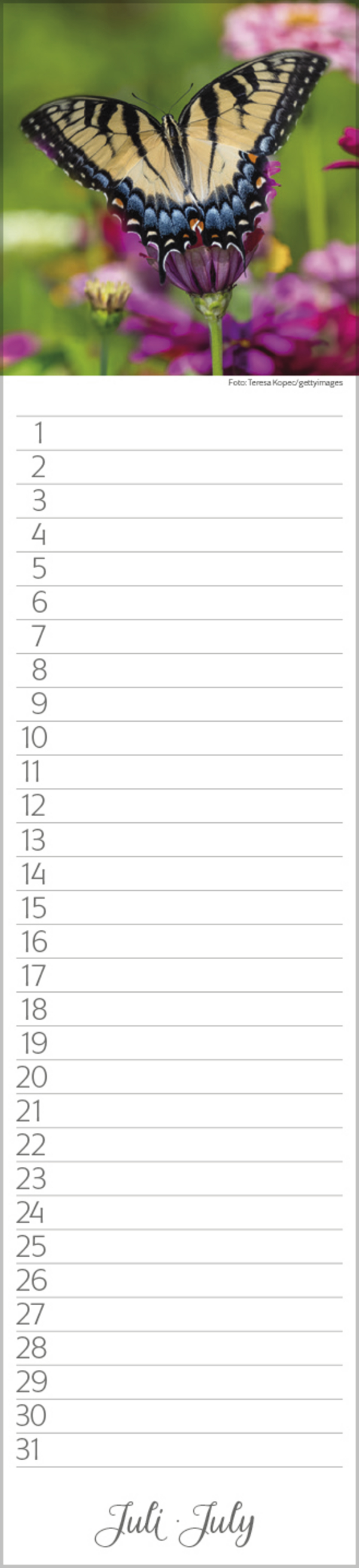 Geburtstags-LP Natur Pur, Innenansicht #7