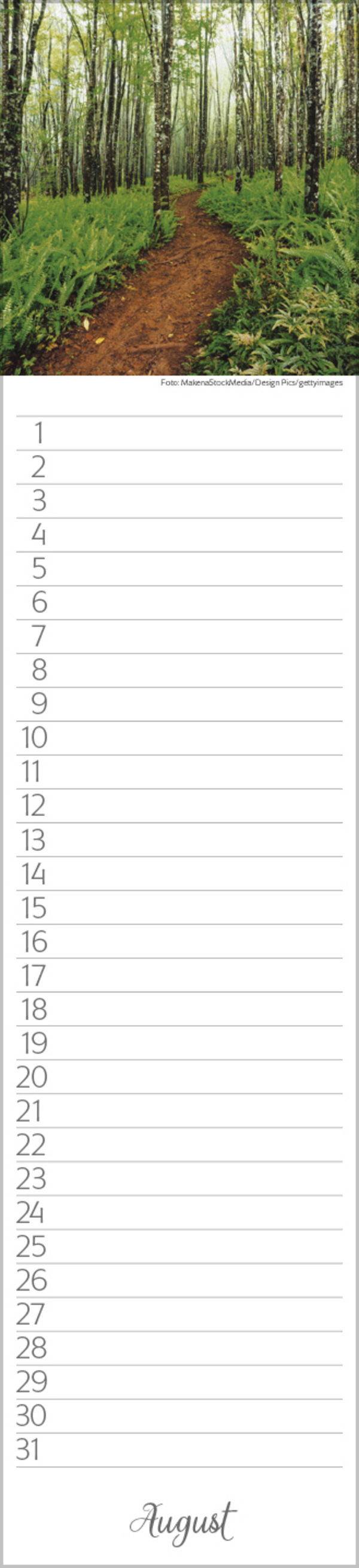 Geburtstags-LP Natur Pur, Innenansicht #8