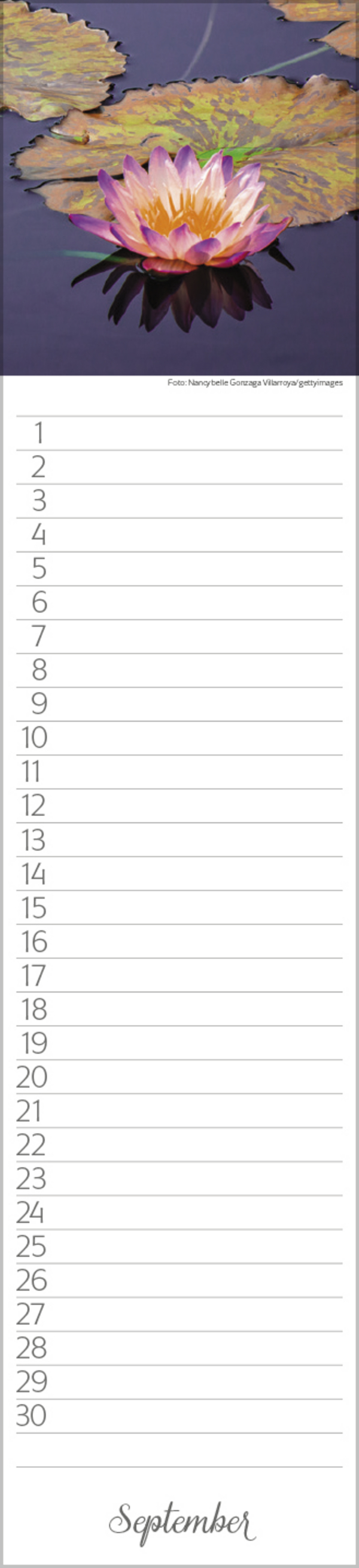 Geburtstags-LP Natur Pur, Innenansicht #9