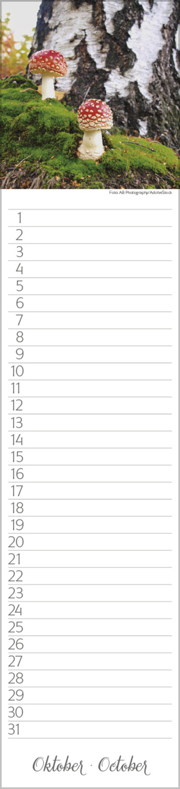 Geburtstags-LP Natur Pur, Innenansicht #10