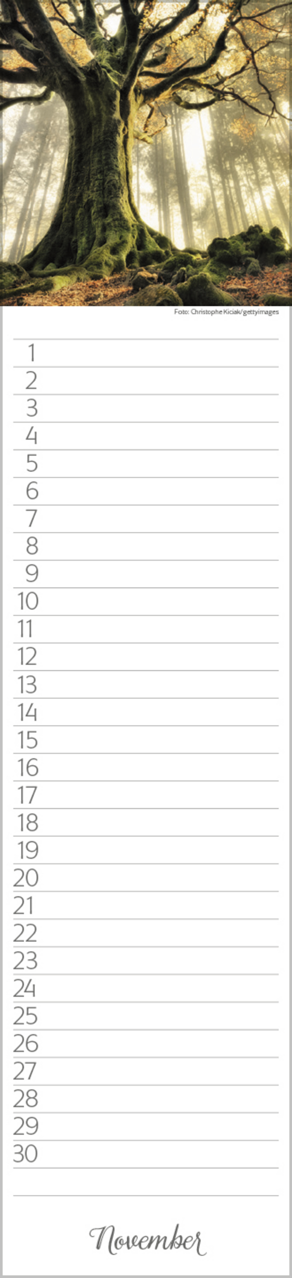 Geburtstags-LP Natur Pur, Innenansicht #11