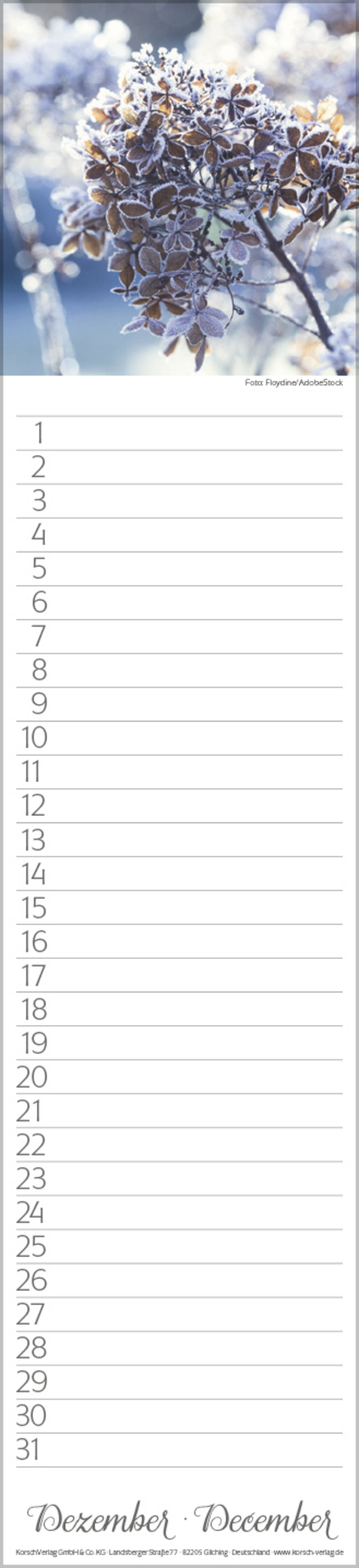 Geburtstags-LP Natur Pur, Innenansicht #12