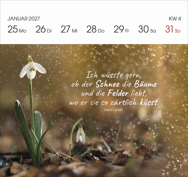 Gartengl&uuml;ck 2027, Innenansicht #1