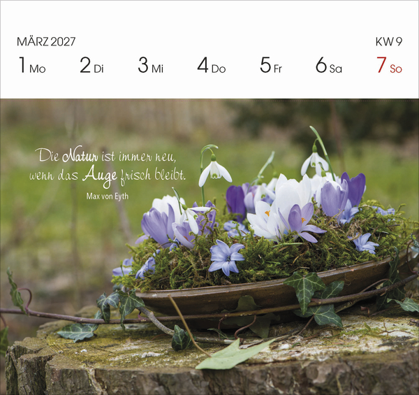 Gartengl&uuml;ck 2027, Innenansicht #2