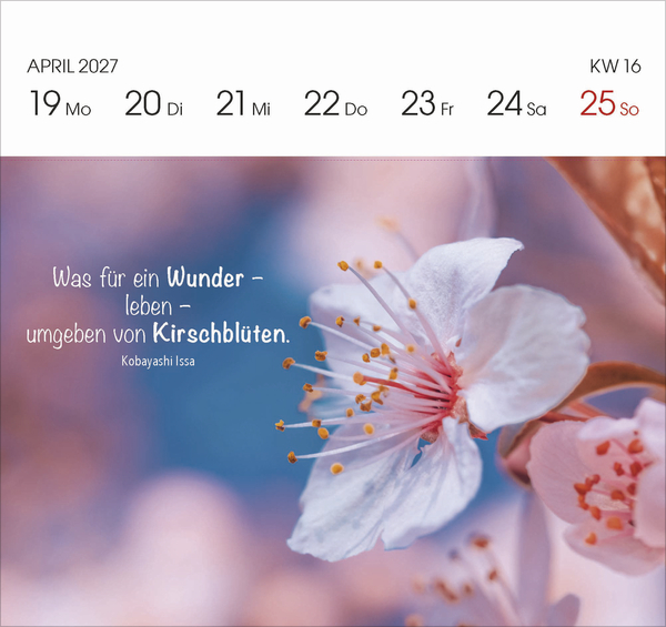 Gartengl&uuml;ck 2027, Innenansicht #4