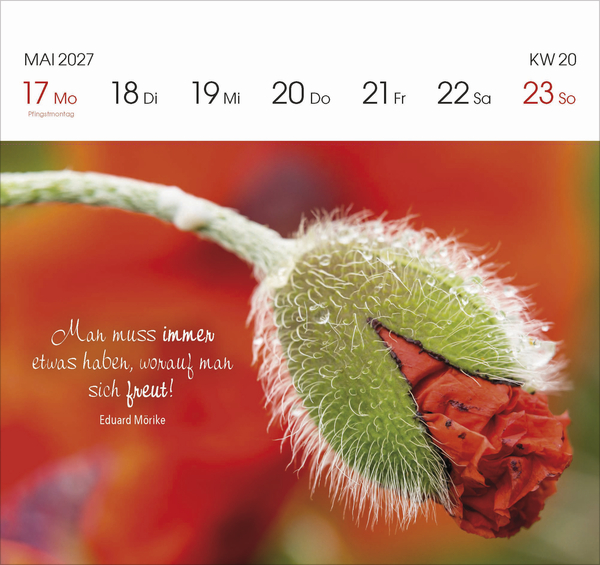 Gartengl&uuml;ck 2027, Innenansicht #5