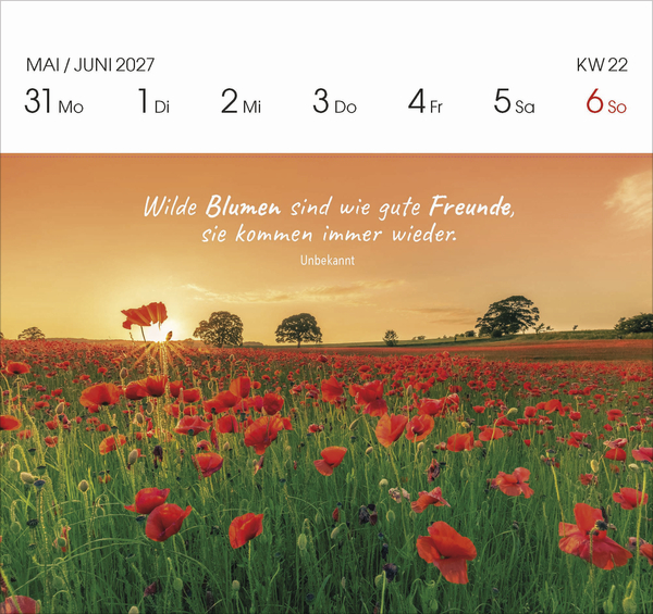 Gartengl&uuml;ck 2027, Innenansicht #7