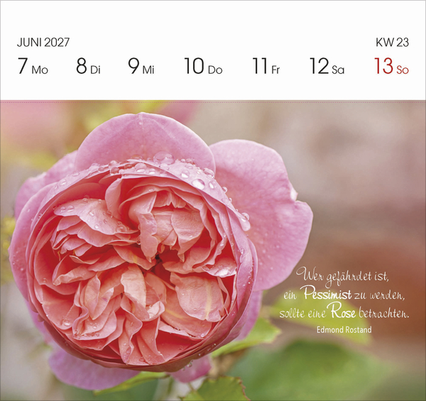 Gartengl&uuml;ck 2027, Innenansicht #8