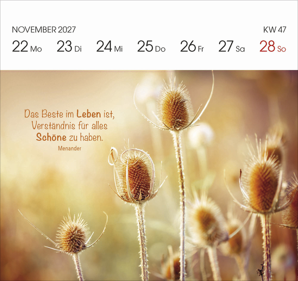 Gartengl&uuml;ck 2027, Innenansicht #12