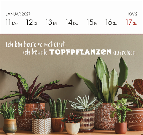 Kleine Auszeit 2027, Innenansicht #1