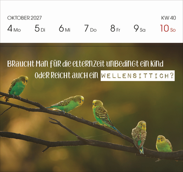 Kleine Auszeit 2027, Innenansicht #11